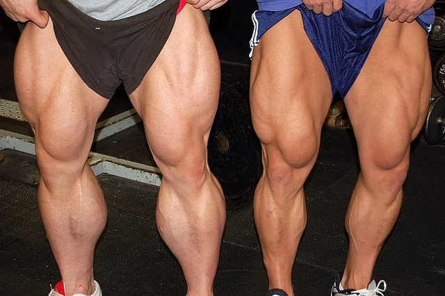 massive legs